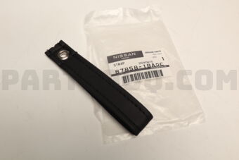 878581BA0C STRAP-RELEASE