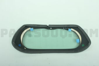 903005DA0A GLASS BACK DOOR