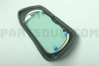 903005DA0A GLASS BACK DOOR