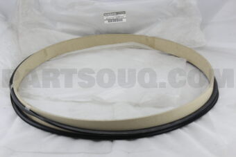 9037232P00 MOULDING-BACK DOOR,LOWER