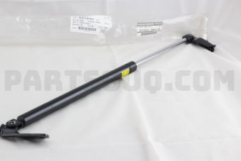 904503XA1D BACK DOOR STAY
