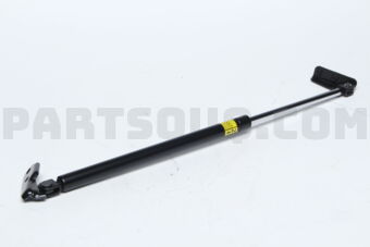 904503XA2B BACK DOOR STAY