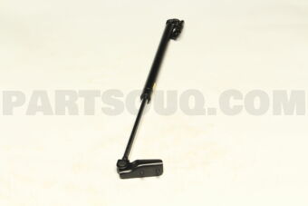 904513XA1B BACK DOOR STAY