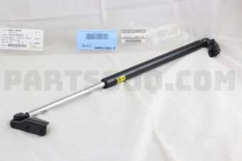 904513XA1D BACK DOOR STAY