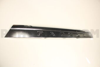 908166JF1B FINISHER ASSY BACK DOOR CENTR