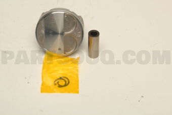 A20101CA1A PISTON,W/PIN