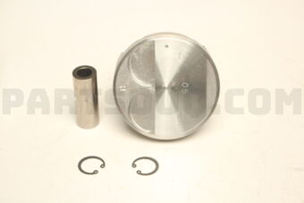 A20101EA1A PISTON,W/PIN STD