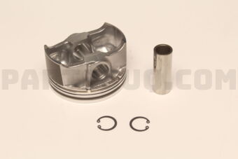 A20101LA0C PISTON,W/PIN