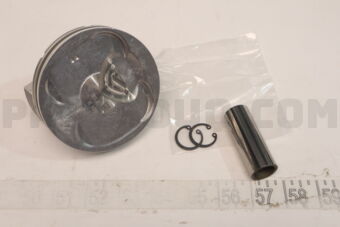 A20101LA9D PISTON,W/PIN