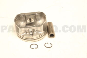 A20101MC9D PISTON,W/PIN