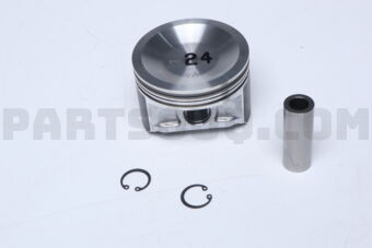 A20105V10B PISTON WITH PIN