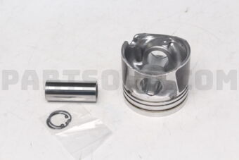 A20105X00A PISTON,W/PIN