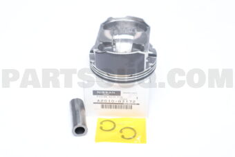 A20108J172 PISTON WITH PIN