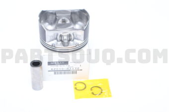 A20108J172 PISTON WITH PIN