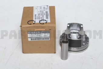 A20109FV0B PISTON W/PIN