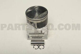 A2010AC79A PISTON WITH PIN