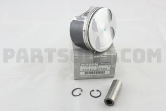 A2010AR260 PISTON WITH PIN