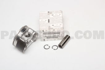 A2010AR277 PISTON WITH PIN