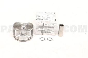 A2010CK80D PISTON WITH PIN