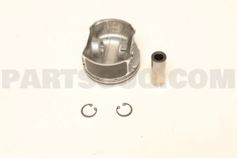 A2010CK81E PISTON WITH PIN