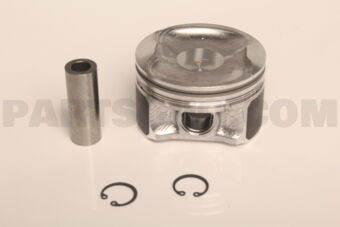 A2010EN20D PISTON WITH PIN
