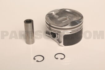 A2010EN20D PISTON WITH PIN