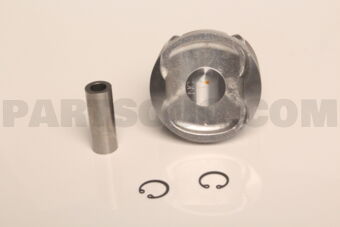 A2010EN20D PISTON WITH PIN
