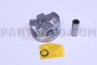 A2010JK20C PISTON W/PIN