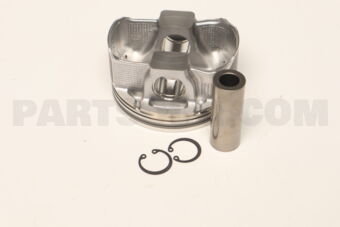 A2010JK22C PISTON WITH PIN