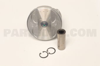 A2010JK22C PISTON WITH PIN