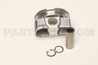 A2010JK22C PISTON WITH PIN