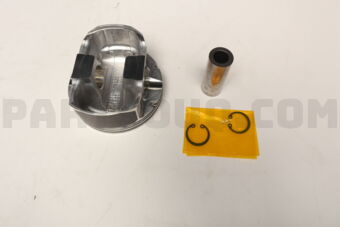 A2010JP01E PISTON WITH PIN