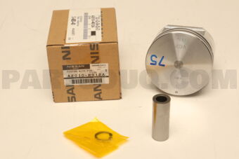A2010WG12A PISTON WITH PIN-STD3