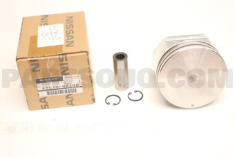 A2010WG18B PISTON WITH PIN