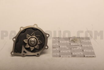B10100T000 PUMP KIT-WATER