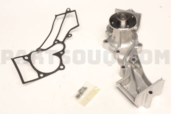 B101012GXG Nissan PUMP ASSY-WATER