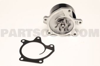 B10101VA0C PUMP KIT WATER