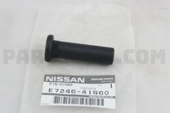 E724641G60 PIN-HINGE