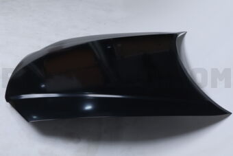 F5100AA4MM Nissan HOOD