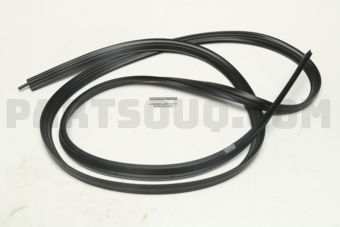 H48306P000 WSTRIP-TRUNK