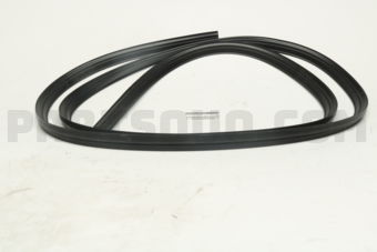 H48306P000 WSTRIP-TRUNK