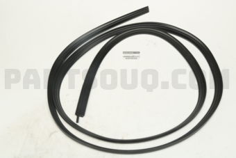 H48306P000 WSTRIP-TRUNK