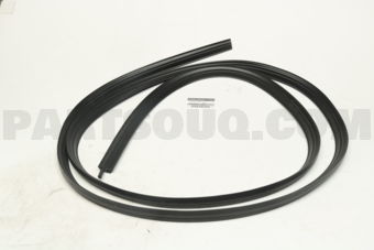 H48306P000 WSTRIP-TRUNK