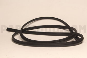 H483070T00 WSTRIP-TRUNK LI