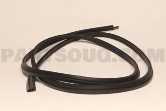 H483070T00 WSTRIP-TRUNK LI