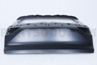 K010M6VAMA DOOR ASSY-BACK