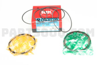 16053STD RING PISTON  RAD 050 CARD TYPE