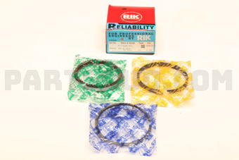 20630025 RING PISTON  025 4G15 N