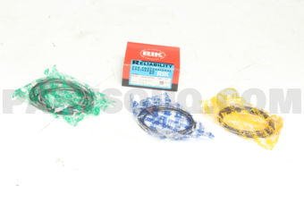 20685025 RING PISTON  025 4D55-2
