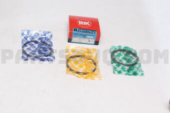 23165100 RIK RING PISTON  100 RIK